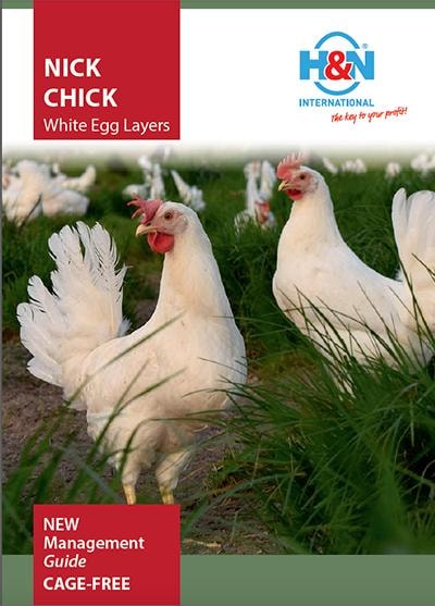 Nick Chick New Management Guide Cage-Free Cover