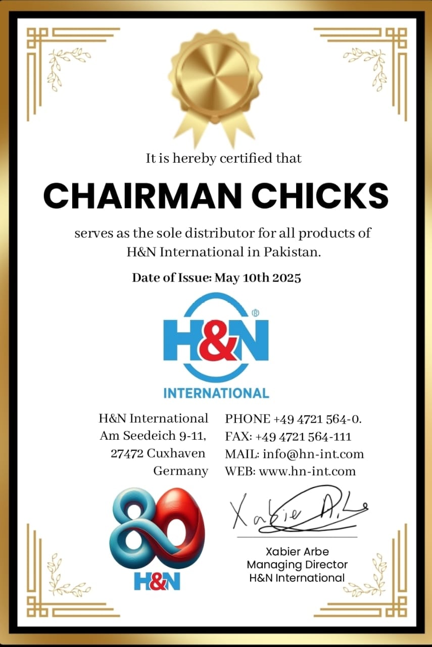 H&N International Official Sole Distributor Certificate — Chairman Chicks